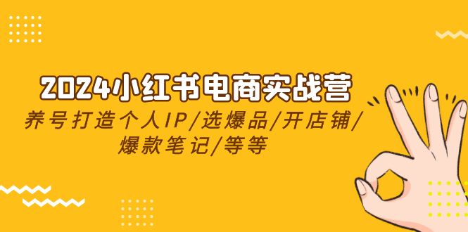 2024小红书电商实战营，养号打造IP/选爆品/开店铺/爆款笔记/等等（24节）-分享互联网最新创业兼职副业项目凌云网创