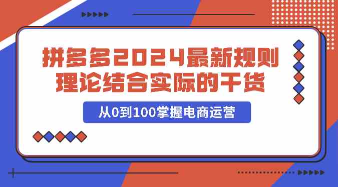 拼多多2024最新规则理论结合实际的干货，从0到100掌握电商运营-分享互联网最新创业兼职副业项目凌云网创