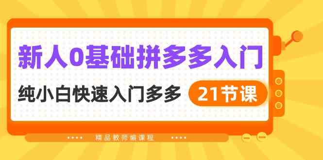 新人0基础拼多多入门，纯小白快速入门多多（21节课）-分享互联网最新创业兼职副业项目凌云网创