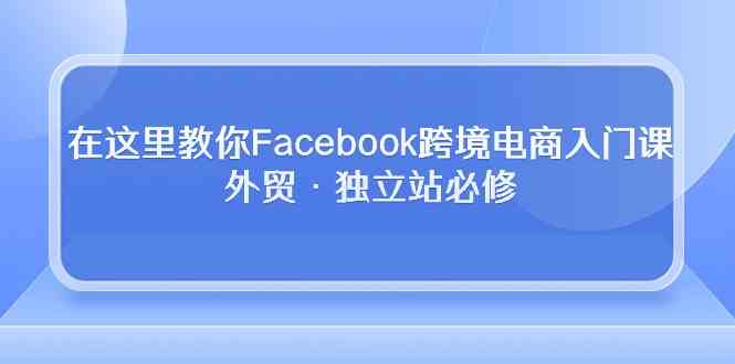 在这里教你Facebook跨境电商入门课，外贸·独立站必修（19节课）-分享互联网最新创业兼职副业项目凌云网创