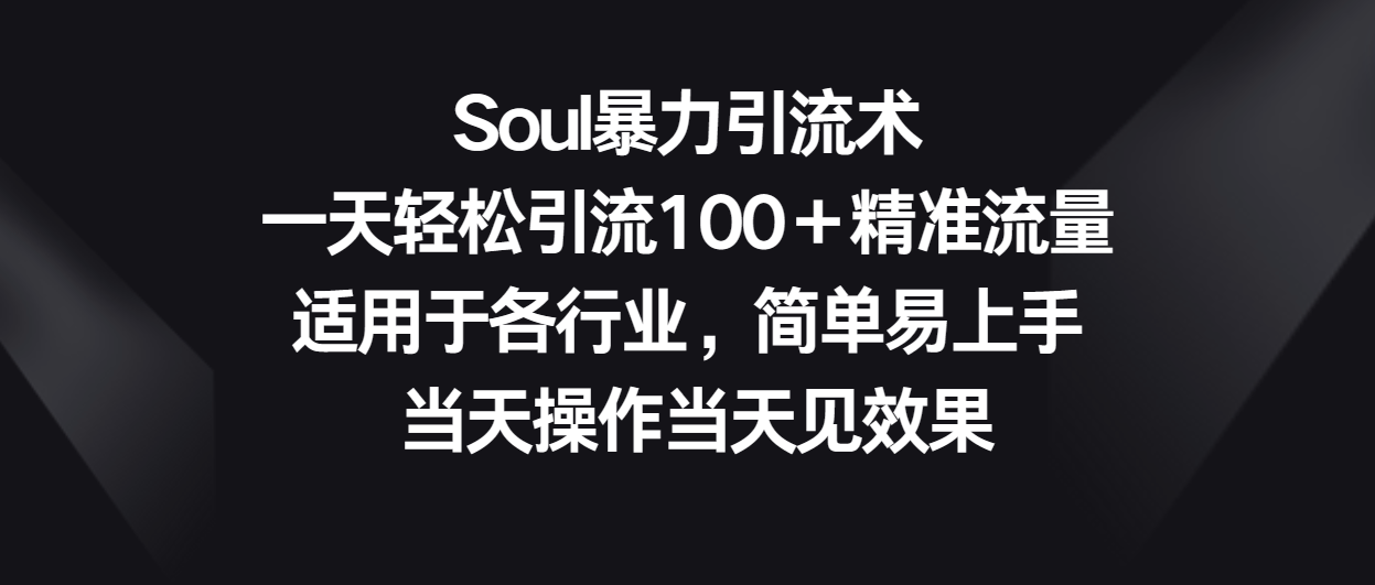 Soul暴力引流术，一天轻松引流100＋精准流量，适用于各行业，简单易上手！-分享互联网最新创业兼职副业项目凌云网创