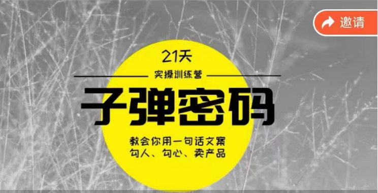 《子弹密码训练营》-用一句话文案勾人勾心卖产品，21天学到顶尖文案大师策略和技巧-分享互联网最新创业兼职副业项目凌云网创