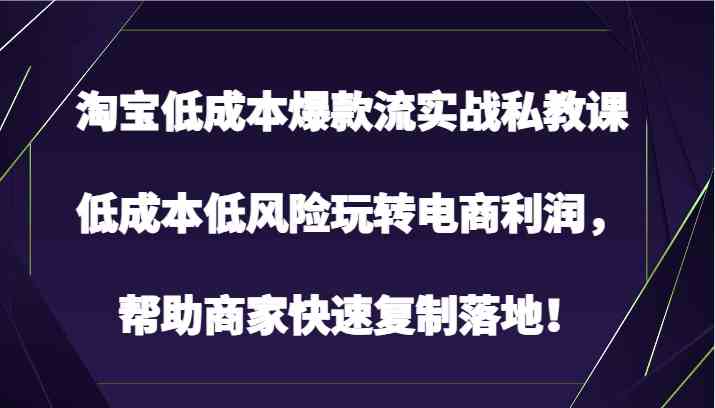 淘宝低成本爆款流实战私教课，低成本低风险玩转电商利润，帮助商家快速复制落地！-分享互联网最新创业兼职副业项目凌云网创