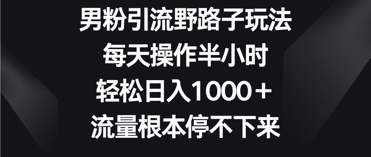 男粉引流野路子玩法，每天操作半小时轻松日入1000＋，流量根本停不下来-分享互联网最新创业兼职副业项目凌云网创