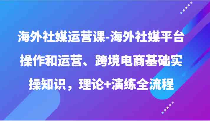 海外社媒运营课-海外社媒平台操作和运营、跨境电商基础实操知识，理论+演练全流程-分享互联网最新创业兼职副业项目凌云网创